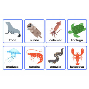 Animales marinos - Tarjetas