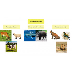 Joc de preguntes i respostes d'animals (Montessori)