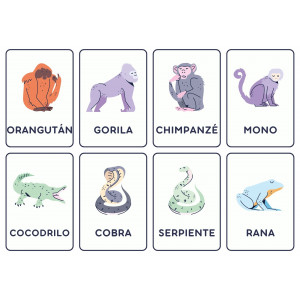 Animales - Tarjetas