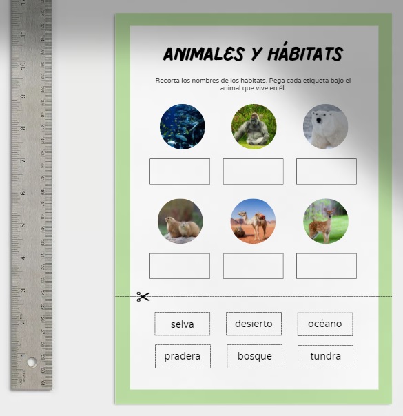 Animales y hábitats