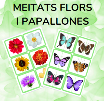 Meitats flors i papallones - PRIMAVERA