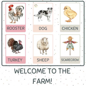 FLASHCARDS FARM