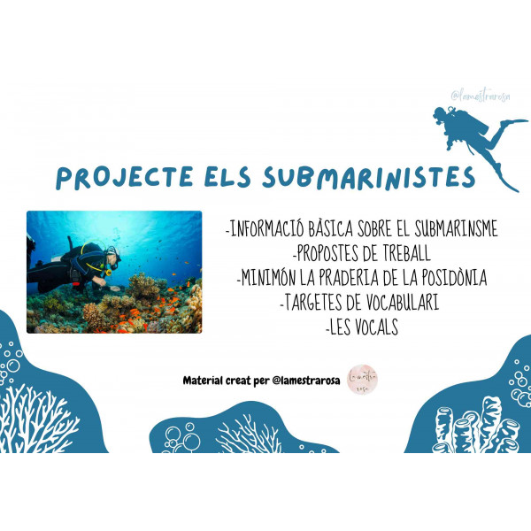 Projecte ELS SUBMARINISTES @lamestrarosa