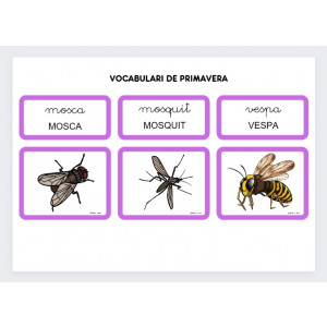 VOCABULARI DE PRIMAVERA