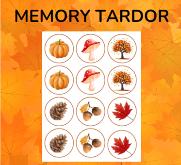 MEMORY TARDOR