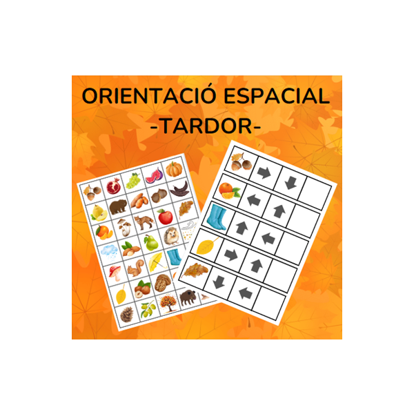 Orientació espacial TARDOR