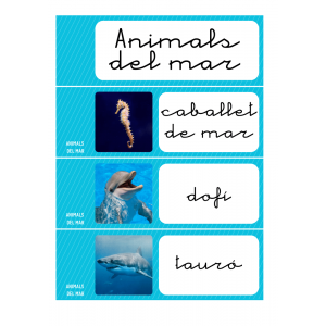 Targetes d'imatges ANIMALS DEL MAR