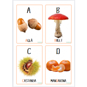 Vocabulari amb elements de la tardor