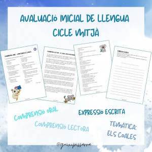 Avaluació inicial Cicle Mitjà