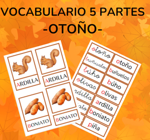 Vocabulario 5 partes OTOÑO