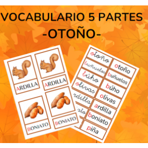 Vocabulario 5 partes OTOÑO