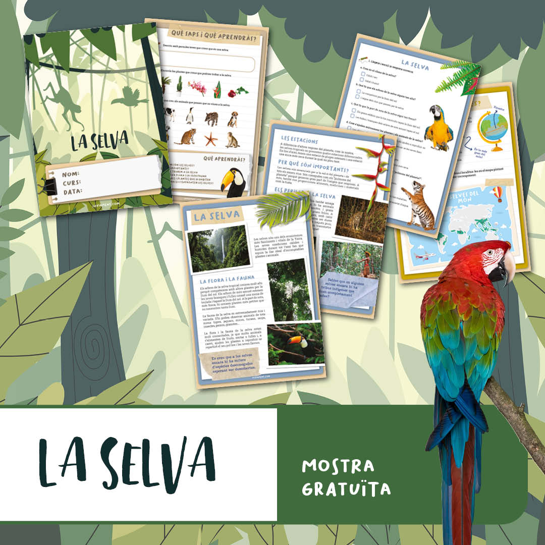 LA SELVA - Cicle Mitjà - MOSTRA