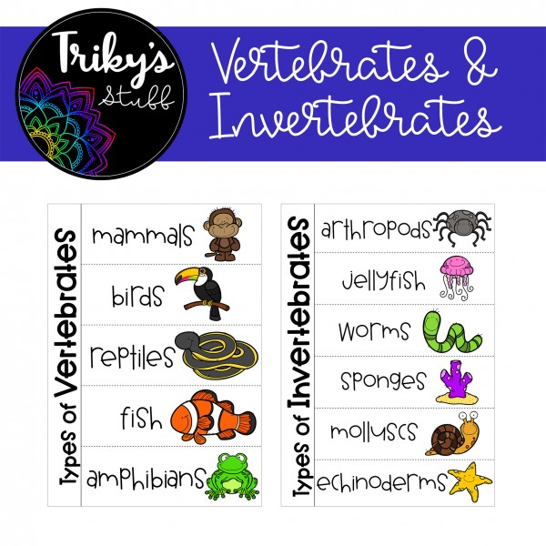 Vertebrate and Invertebrate Animals