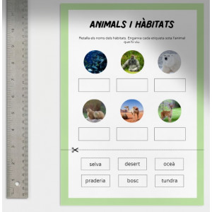 Animals i hàbitats