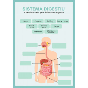 Sistema digestiu