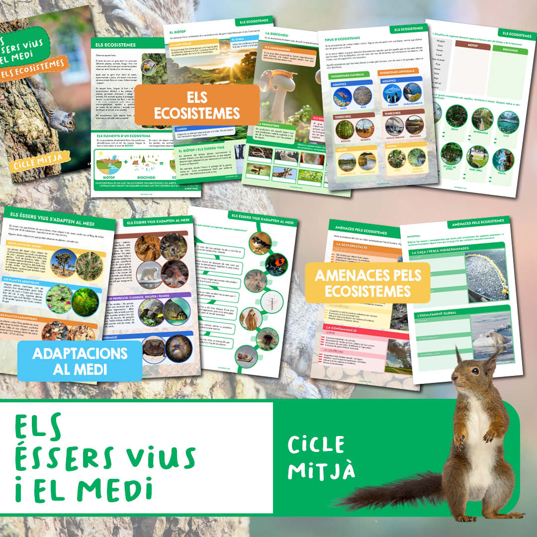 ELS ÉSSERS VIUS I EL MEDI: ELS ECOSISTEMES - CM