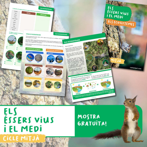 Mostra gratuïta - ELS ÉSSERS VIUS I EL MEDI: ELS ECOSISTEMES - CM