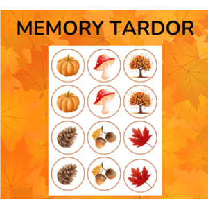 MEMORY TARDOR