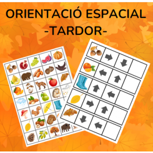 Orientació espacial TARDOR