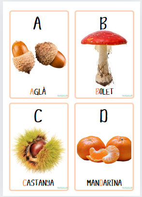 Vocabulari amb elements de la tardor