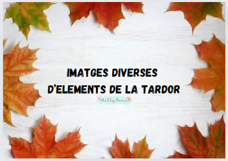 Imatges diverses d'elements de la tardor -part1-