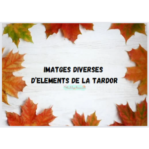 Imatges diverses d'elements de la tardor -part1-