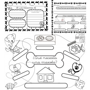 Proyecto sobre las mascotas