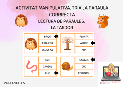 LA TARDOR. TRIA LA PARAULA CORRECTA. ACTIVITAT TARDOR. LECTURA DE PARAULES. VOCABULARI LA TARDOR.