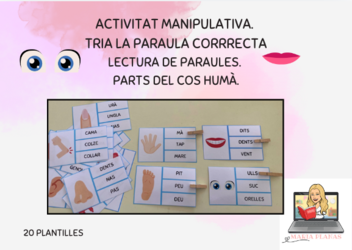 LECTURA DE PARAULES. TRIA LA PARAULA CORRECTA. VOCABULARI EL COS HUMÀ.