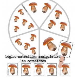 Lógico-matemática manipulativa pinzas de las estaciones