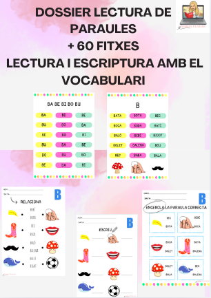 DOSSIER LECTURA DE PARAULES + 60 FITXES AMB EL VOCABULARI. (LECTURA I ESCRIPTURA DE PARAULES). VOCABULARI LLENGUA CATALANA. CATALÀ. LLETRA MAJÚSCULA.