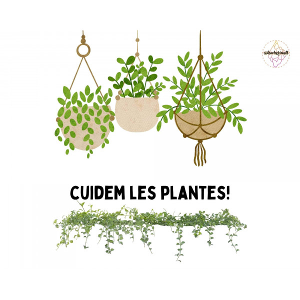 PRESENTACIÓ: Cuidem les plantes!