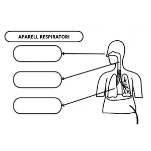 VOCABULARI APARELLS (NUTRICIÓ)